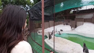 快手主播 極品禦姐 夏彤 直播熱舞誘惑 Part 31