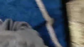 人生第2次的性生活也被大叔中出的KPOP偶像那样的美少女