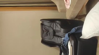 春天的猫精彩直播十一月二十四号