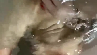哥伦比亚学生Cali Doe在摄像机前享受硬核性爱